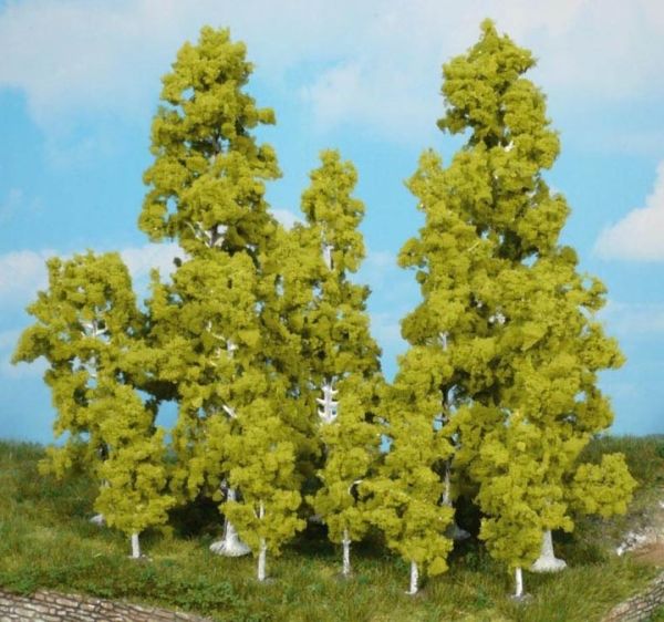 HEK1136 - 3 Bouleaux 13 cm - 1