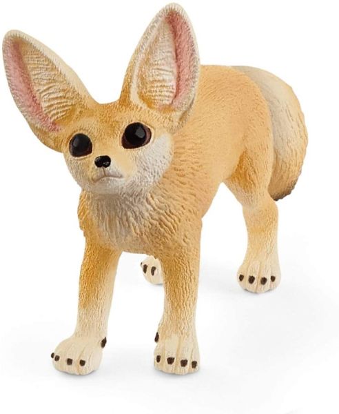 SHL14845 - Fennec - 1