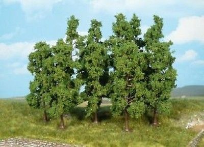 HEK1732 - 5 Arbres fruitiers 5-9 cm - 1