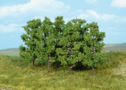 HEK1999 - 6 Aulnes 8 cm - 1