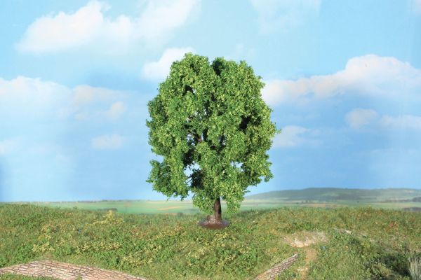 HEK19106 - Châtaignier 18 cm - 1