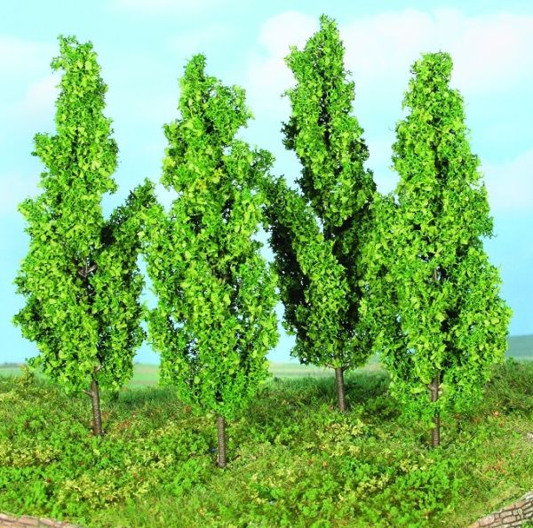 HEK19110 - 4 Peupliers 13 cm - 1