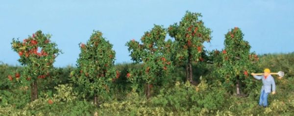 HEK19131 - 5 pommiers 4 cm - 1