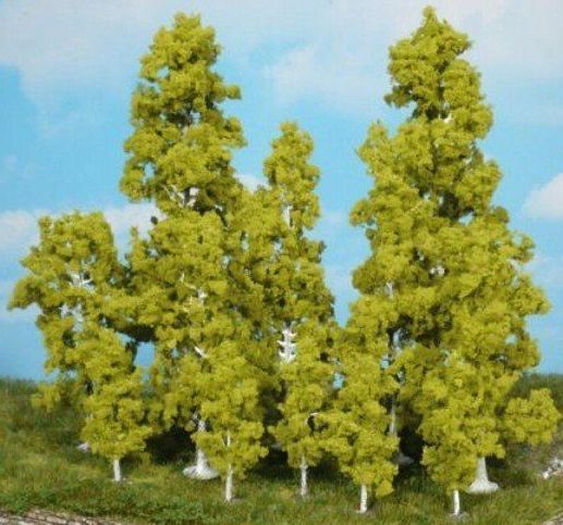 HEK1322 - 10 Bouleaux 10-18 cm - 1