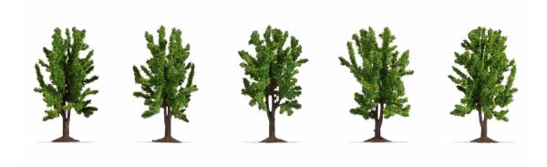 NOC25620 - 5 Arbres feuillus 8 cm - 1