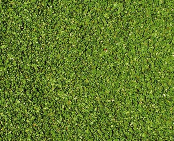 HEK3398 - Flocage feuilles de vigne - 200 ml - 1