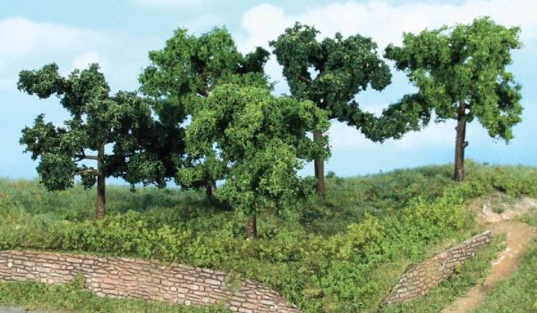 HEK1935 - 5 Arbres fruitiers 8-10 cm - 1