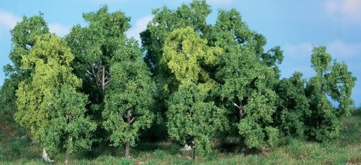 HEK1992 - 14 Arbres à feuilles caduques 5-12 cm - 1