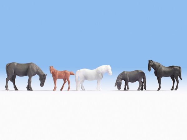 NOC18215 - 5 chevaux - 1