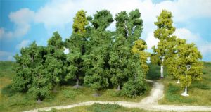 HEK1951 - 14 Arbres à feuilles Caduques 5-12 cm