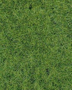 HEK1871 - Tapis d'herbes sauvage terrain boisé 40 x 24 cm