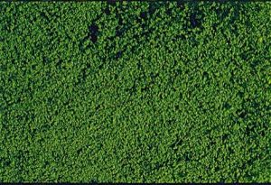 HEK1602 - Mousse de flocage vert foncé 14x28 cm