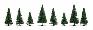 NOC25640 - 8 Sapins 8-12 cm