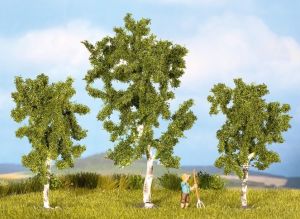 NOC25520 - 3 Bouleaux 4.5 cm