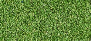 HEK3301 - Matière à floquer vert clair - 40 g