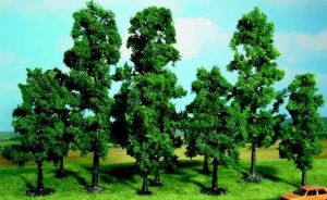 HEK1323 - 10 Hêtres 10-18 cm