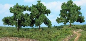 HEK1934 - 3 Arbres fruitiers 13 cm