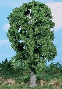 HEK1987 - Chêne 20 cm