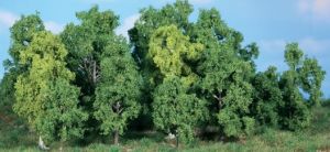 HEK1992 - 14 Arbres à feuilles caduques 5-12 cm
